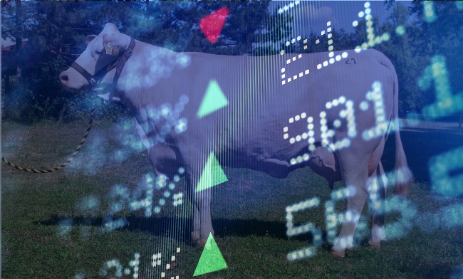 AGROMAGAZÍN – prognóza cien zookomodít a energií pre 11. týždeň 2023