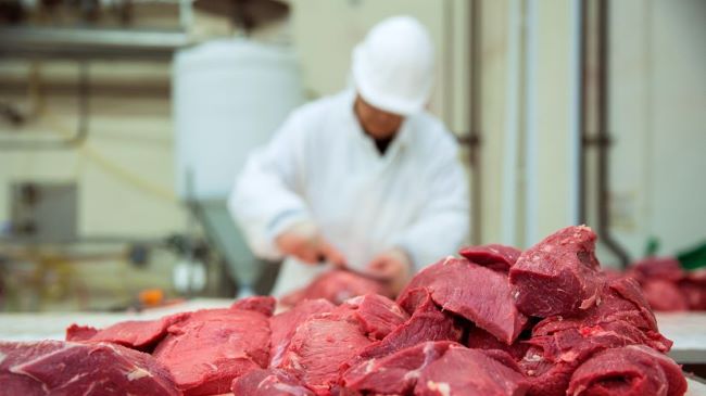 Poľská hovädzina na kórejskom trhu : Audit by mohol pomôcť otvoriť kórejský trh pre poľské hovädzie mäso
