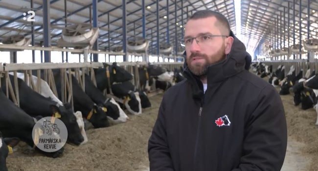Ak v AGROCONTRACTE Mikuláš, a.s., dosiahnu svoj cieľ, budú produkovať 7 % slovenského mlieka