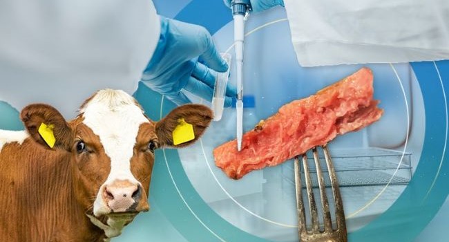 Slovensko zaujalo stanovisko k laboratórnemu mäsu