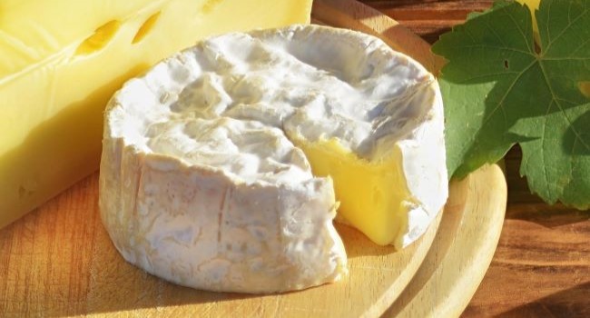Dôsledok nízkej diverzity: Hermelínové huby sa pestujú čoraz ťažšie – je výroba syra v koncoch?